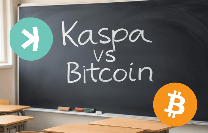 Crypto Head-To-Head